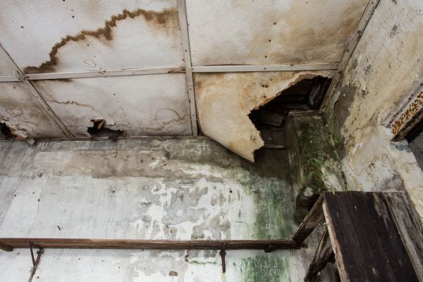 Cost of Water Damage Service in Suffolk