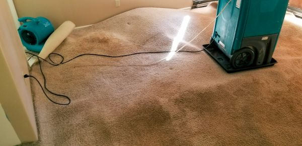 Cost of Flood Damage Cleanup in Suffolk