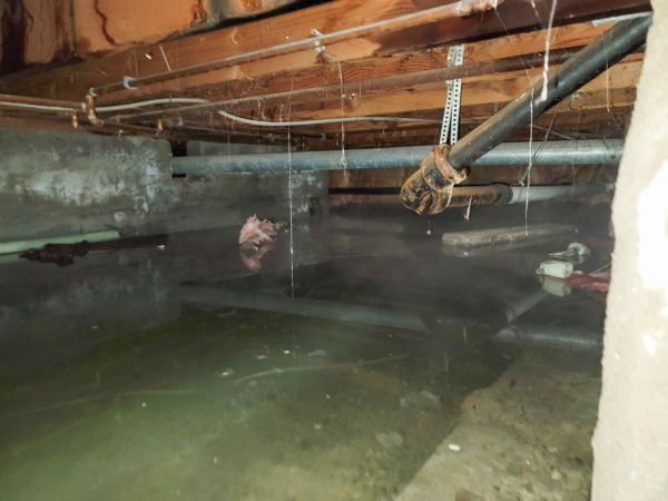 Cost of Crawlspace Water Restoration in Suffolk