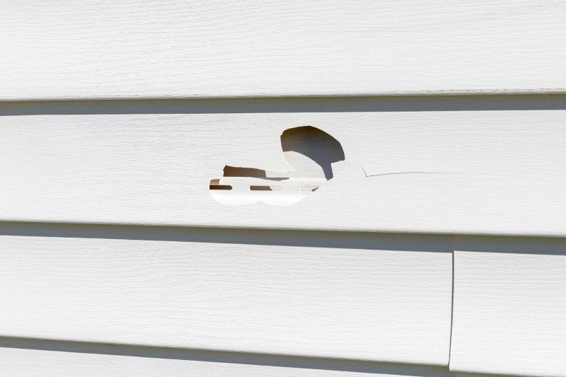 Siding Repairs